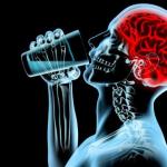 Негативное влияние алкоголя на мозг человека Алкоголь разрушает мозг и все органы